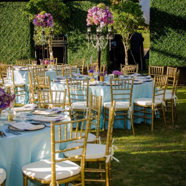 Gold Chiavari Chairs w/ Ivory Cushion (Rentals) - Image 3