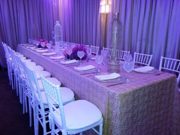 Silver Chiavari Chairs w/  Cushion (Rentals) - Image 4