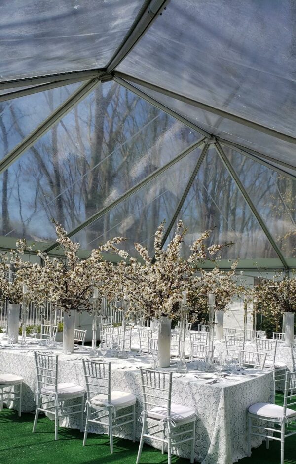 Silver Chiavari Chairs w/  Cushion (Rentals) - Image 2