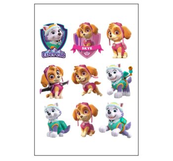 Paw Patrol Skye and Everest Temporary Tattoo Sheet  - 8 Count (Party Favors)