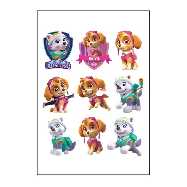 Paw Patrol Skye and Everest Temporary Tattoo Sheet  - 8 Count (Party Favors)