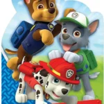 Paw Patrol 'Thank You' Postcards - 8 Count (Party Supplies)