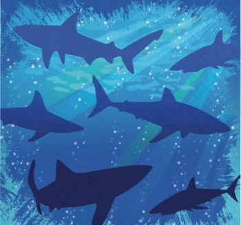 Sharks Splash Beverage Napkins - 16 Count (Party Supplies) {Creative Converting}