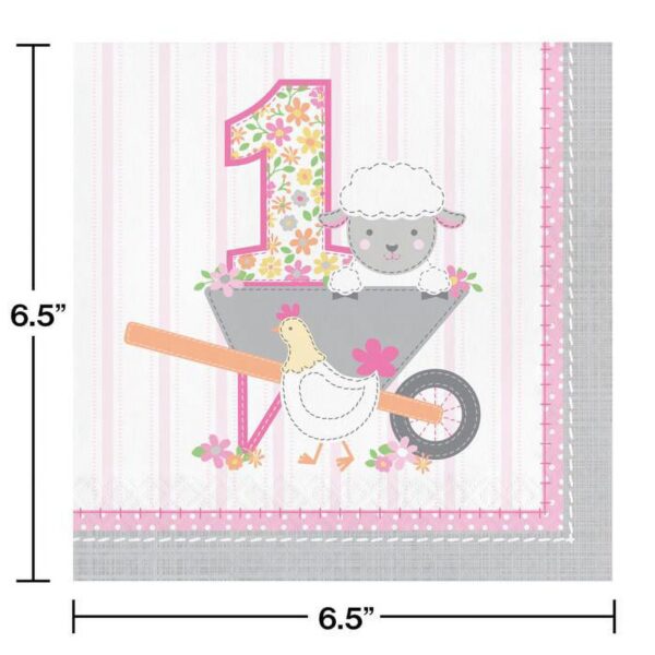 Farmhouse Floral Baby 1st Birthday Napkins - 16 Piece Count (Party Supplies) - Image 3