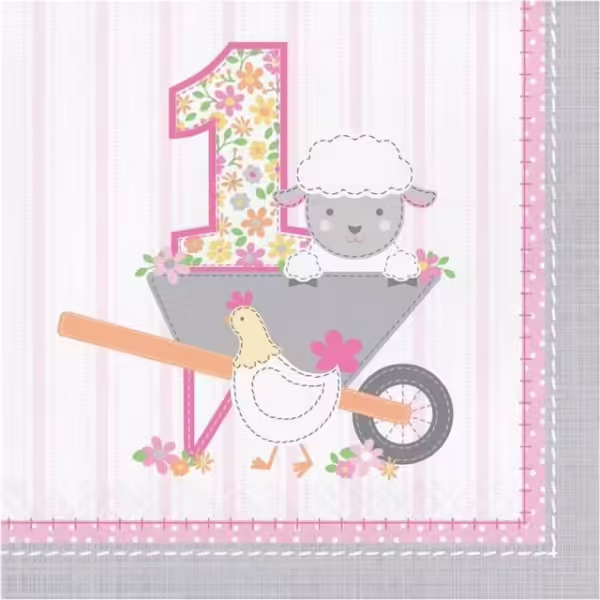 Farmhouse Floral Baby 1st Birthday Napkins - 16 Piece Count (Party Supplies)